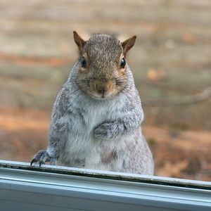 Meet your Posher, Debra